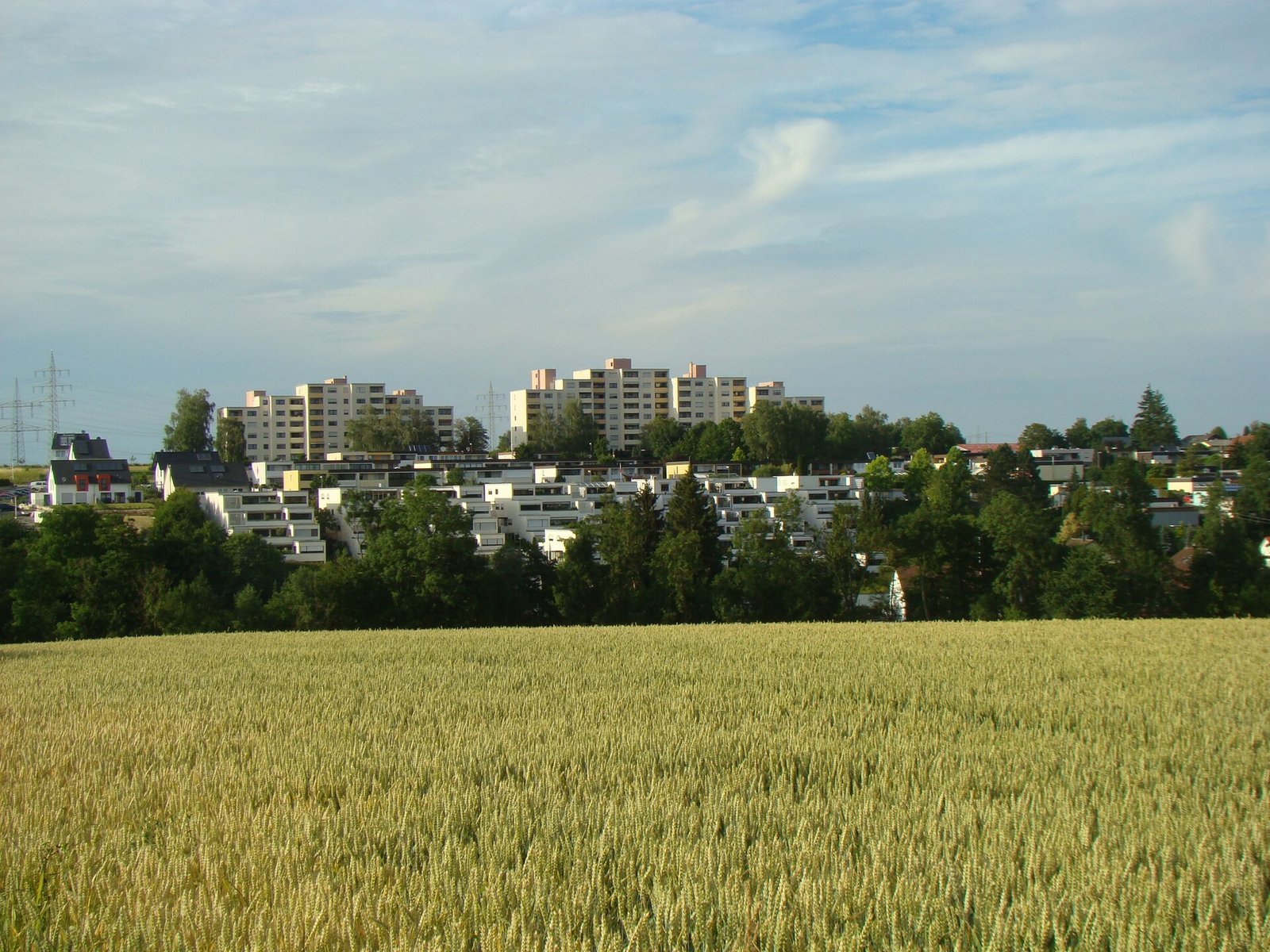 Maihalde in Heilbronn-Frankenbach